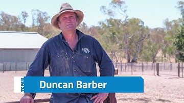 Low Impact Sheep Handling | Duncan Barber