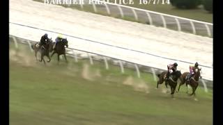 16 July 2014 Practice 1