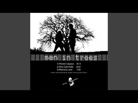 Men In Trees — Planet Calypso