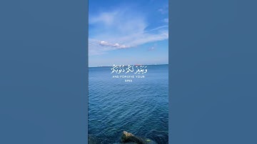 قل ان كنتم تحبون الله | قران كريم | احمد العجمي | راحة نفسية | حالات واتس #احمد_العجمي #foryou