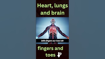 Why Do Your Fingers Go Numb in Winter? ❄️ | Science Explained!