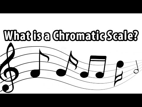 What Is a