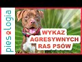 Wykaz ras psów uznawanych za agresywne