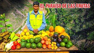 El PARAÍSO DE LAS DELICIAS en medio de los Andes: Ccota, Añancusi, Huancavelica | DOCUMENTAL