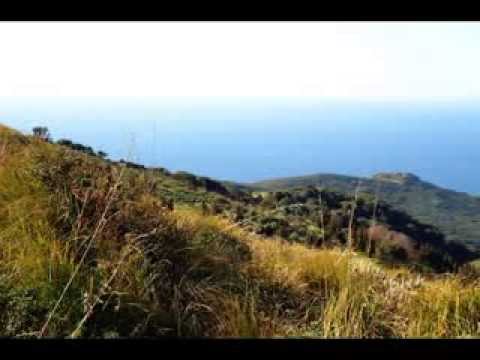 Cheba Djamila Cheikh Soltane 2008 Kelma Ktar Mel Baroud 