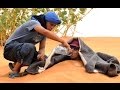 Un bain de sable  merzouga bladinet