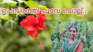 Chembarathi poove | Shyama film song |