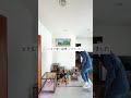 【実家の片付け】実家あるあるなモノ、査定に出した結果　 #実家の片付け 　#片付け #beforeafter