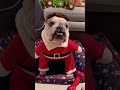 Mumy christmas 2022 youtube viral game games youtuber dog dogs gaming lol cats fortnite