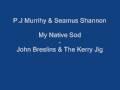 P.J. Murrihy &amp; Seamus Shannon - John Breslins &amp; The Kerry Jig