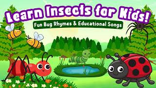 Learn Insects for Kids! 🐛 Fun Bug Song 🦋,& Vocabulary for Toddlers 🐝.