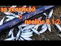 За уклейкой с neoline 0.1-2, вечерняя рыбалка.Мормышинг.