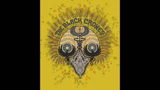 Black Crowes - Houston Don&#39;t Dream About Me 13/09/2009