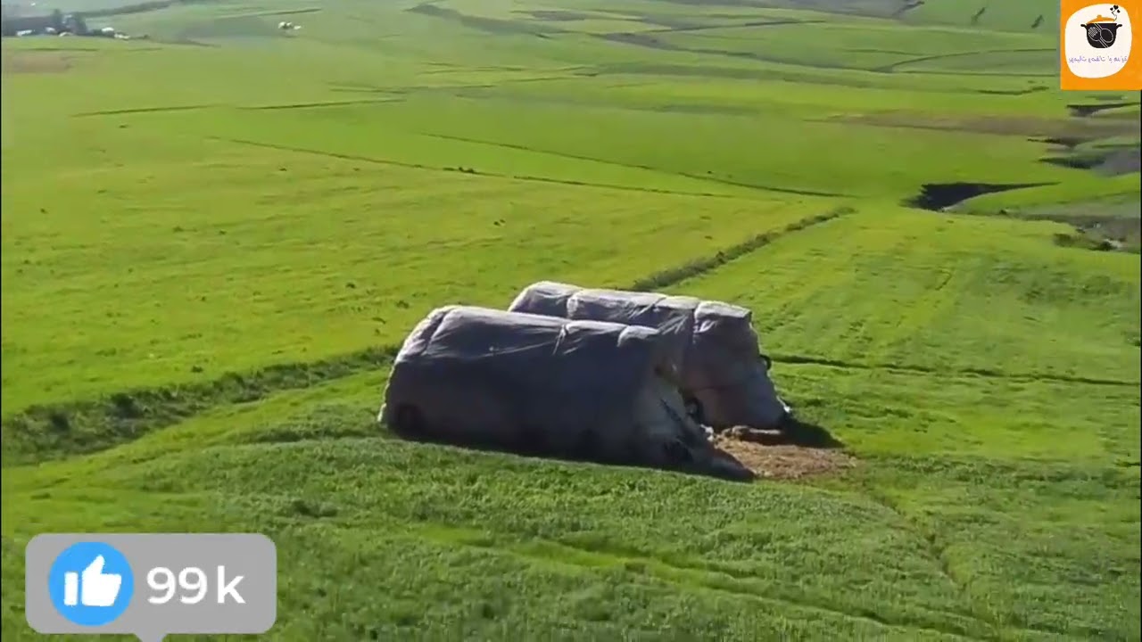 أجواء ماشاء الله كلشي أخضر بفضل الله بعد الشتاء اجواء يا سلام نواحي مدينة مكناس