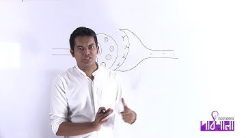 02. Neuron, Synapse & Neuroglia | Neuron, Synapse, Neuroglia | OnnoRokom Pathshala