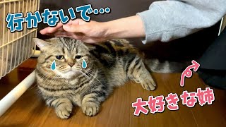 大好きな姉が帰るのを引き止めようとする猫が可愛すぎた…