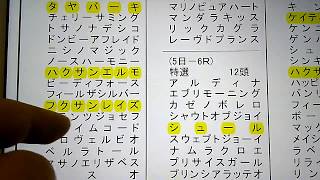 川崎競馬１/２９～２/２エントリーしてるオススメ馬再紹介と１/２９の全レース紹介