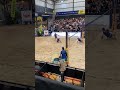 PINGO - AMAURY  #futevôleibrasil #futevolei #shorts