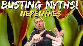 Growing NEPENTHES Pitcher Plants Effortlessly: 15 Facts that DEBUNK the MYTHS!