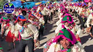 ÚLTIMO MINUTO CONTINUAMOS CON LAS DANZAS POR LA FIESTA DE LA VIRGEN DE LA CANDELARIA PUNO