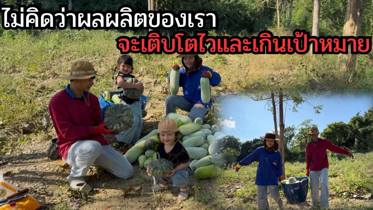 ดีใจมากที่วันนี้มาถึงแม่มาช่วยพวกเราเก็บผลผลิตที่ปลูกไว้!