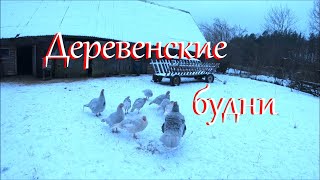 Декабрь на Лесном Хуторе. Жизнь в деревне.