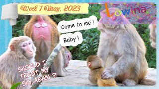 Is Flöffis Baby Safe ?