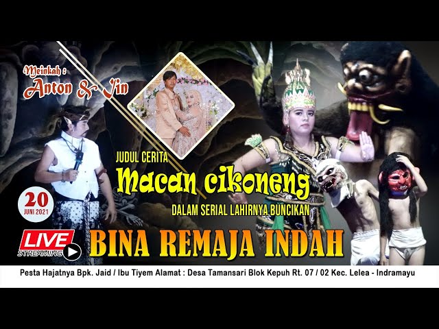 🔴 [ Live ] Sandiwara Bina Remaja Indah | Judul Macan Cikoneng | Tamansari 20 Juni 2021 class=