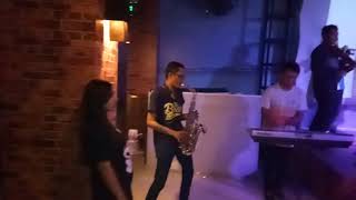 The bray skalaria -intronew