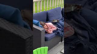 Guy Pranks a Girl with a Lobster