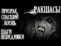 Истории на ночь (3в1): 1.Ракшасы, 2.Призрак, спасший жизнь, 3.Шаги невидимки