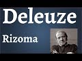 Deleuze, Rizoma