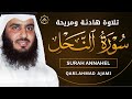 سورة النحل كاملة بصوت أحمد العجمي تلاوة خاشعة تبعث السكينة وتشرح الصدر Surah An Nahl