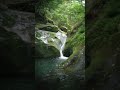 【Nara】まるで異世界のような神社です。