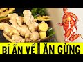 BÍ ẨN VỀ &quot;ĂN GỪNG&quot; MÀ BẠN CHƯA BIẾT? THẢI HẾT VÀ GIẢM NẠP ĐỘC TỐ VÀO CƠ THỂ,  SỐNG TRƯỜNG THỌ