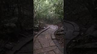 Ritigala Strict Nature Reserve Sri Lanka