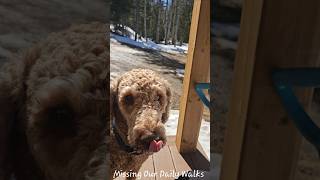 Finding Our Ground: Spring Melt Off-Grid #doodlesunleashed #spring #doodles
