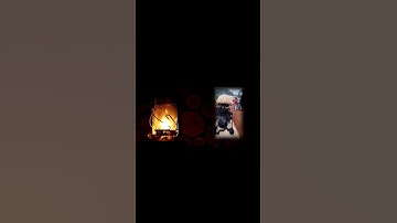 Thumbnail of Ancestral Spirit Possession