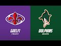 Guelfi firenze vs dolphins ancona