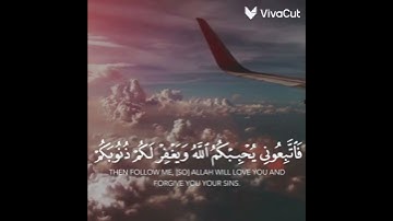 سورة آل عمران #تلاوة_خاشعة