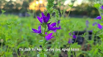 Nraug Suav Muas - Lub Neej Tiam 21 - 2021