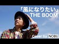 風になりたい / THE BOOM / Cover by NOBU