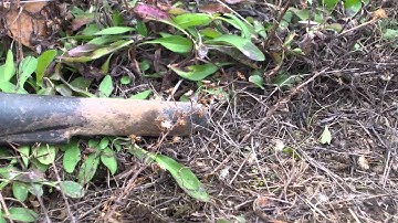 Exciting Day! Old dozed house - silver quarters everywhere! Metal Detecting with Minelab E-trac #18