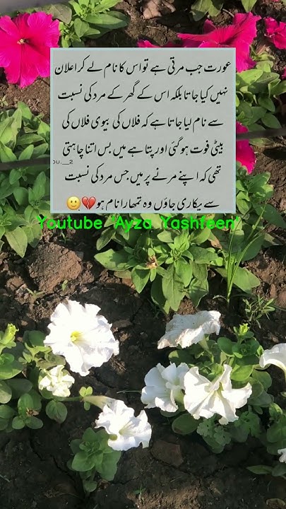 Journeying Through The Depths Of Mini Urdu Quotes shorts journeying-through-the-depths-of-mini-urdu-quotes-shorts