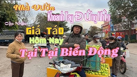 Cập Nhật Giá Táo Mới Nhất Hôm Nay Mùng 5 Tết Giảm Hơn Tại Biển Động Lục Ngạn Bắc Giang...