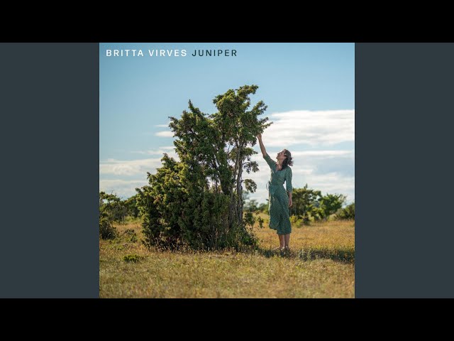 Britta Virves - Blues