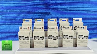 Disney The Haunted Mansion Ghost Portraits Mystery Pin Set Unboxing | CollectorCorner