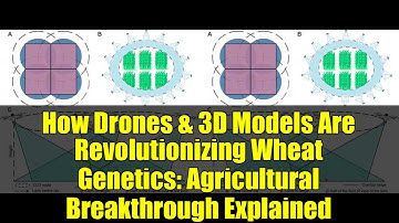 How Drones & 3D Models Are Revolutionizing Wheat Genetics: Agricultural Breakthrough Explained