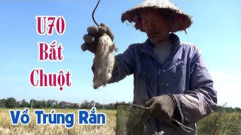 Sư Phụ U70 Bắt Chuột Đồng Vồ Trúng Rắn