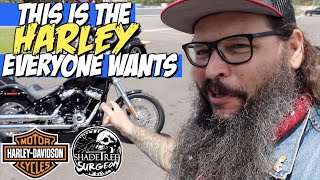 Harley FINALLY built the motorcycle everyone wants | Cheapest Big Twin 2020 Softail Standard